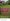 4,139 sqm Lot For Sale in Roxas City Capiz