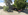Prime 802 sqm Commercial Lot in Nabunturan