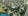 350 sqm Residential Lot For Sale in Porac Pampanga