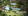 358 sqm Residential Lot For Sale in Trece Martires Cavite