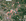 Foreclosed 6.21 hectares Agricultural Lot For Sale in San Fernando Pampanga