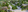 822 sqm Residential Lot For Sale in Davao City