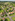 160 sqm Residential Lot For Sale in Dasmarinas Cavite