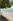 BEACHFRONT HOUSE & LOT FOR SALE