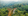 545 sqm Residential Lot For Sale in Tanay Rizal