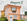 Ready For Occupancy 2-bedroom Single Detached House For Sale in Bacoor Cavite