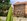 4-Bedroom House for Sale