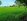 3 hectares Agricultural Farm For Sale in Narra Palawan