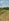 Titled Residential Farm Lot For Sale in Brgy. Tandang Kutyo,Tanay Rizal 750sqm. 3M 09759663299
