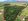a developed farm land with a numerous plants, trees and rice field