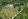 Clean Titled Residential Lot in Samal Island