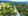 500 sqm Residential Lot For Sale in Pililla Rizal