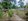 residential farm lot