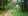 Agricultural Land for Lease in San Jose, Batangas