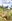Lot for sale Palo, Leyte