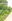 Agricultural Land for Sale in Alang-Alang, Leyte