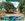 Farm Lot with Fruit-Bearing Trees in Oracon Norte Sibunag
