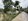 545 sqm Residential Lot For Sale in Tipanoy, Iligan Lanao del Norte