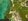 img-0077.eeT24.jpeg