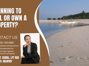 Palawan Real Estate Updates