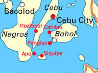 Cebuano Speaking Brokers and Salespersons