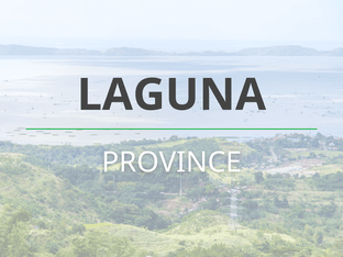 Living in Laguna: Guide to your new home