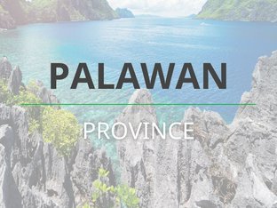 Living in Palawan: Guide to your new home