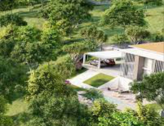 Exclusive Virendo Lots: Ayala Land Premier's Elevated Davao Enclave