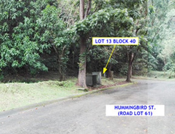 Canyon Woods Residential Estate Lot for Sale in Laurel, Batangas
