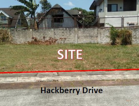 Residential Vacant Lot in Solen Residences, Santa Rosa, Laguna