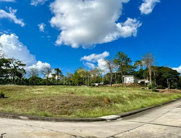 Spacious Residential Lot For Sale in Angono, Rizal: Forest Farms