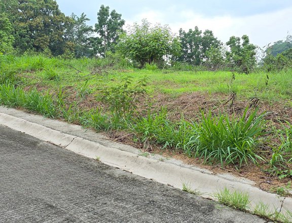 168 sqm Residential Lot For Sale in San Pedro Laguna