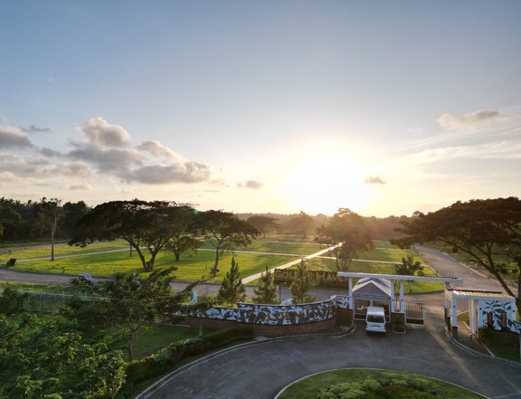 Invest in a Family Estate Lot Big 103sqm Golden Haven Amadeo Cavite Memorial Lots for Sale