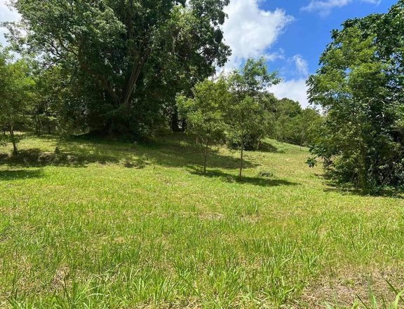 344 sqm Residential Lot For Sale in Laurel Batangas