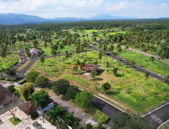 Prime Residential Lots for Sale in Tiaong, Quezon from 5 Million