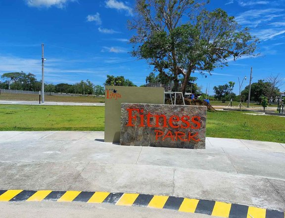 Prime Residential Beach Property Development in Playa Laiya San Juan, Batangas