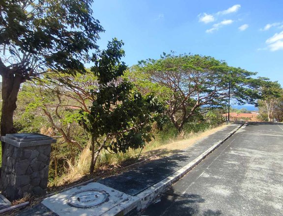 450 sqm Residential Lot For Sale in Nasugbu Batangas