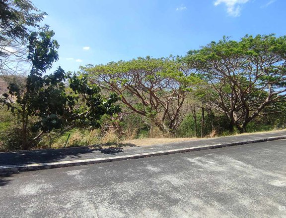 Terrazas de Punta Fuego Lots for Sale