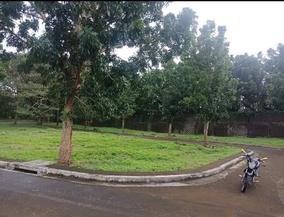 Prime residential lots for sale in Cuesta Verde Lucena