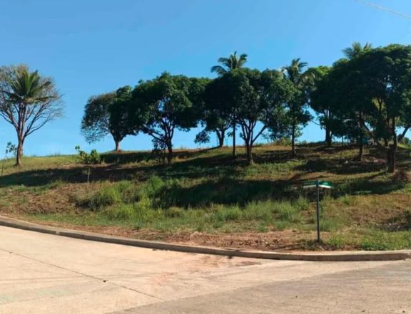 Premium residential lots at The Perch, Sun Valley Estates Antipolo