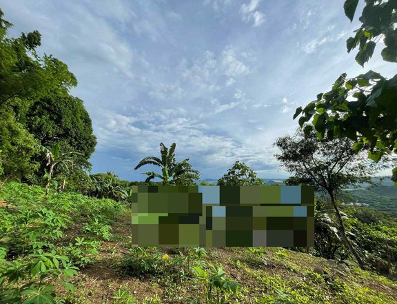 Antipolo Overlooking lot for sale