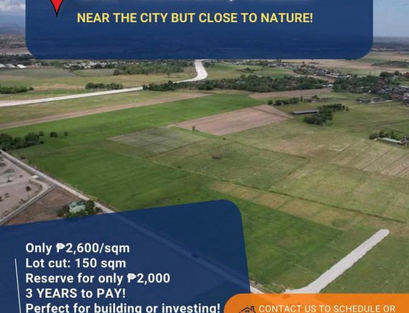 Lots for Sale near Luisita San Miguel, Tarlac