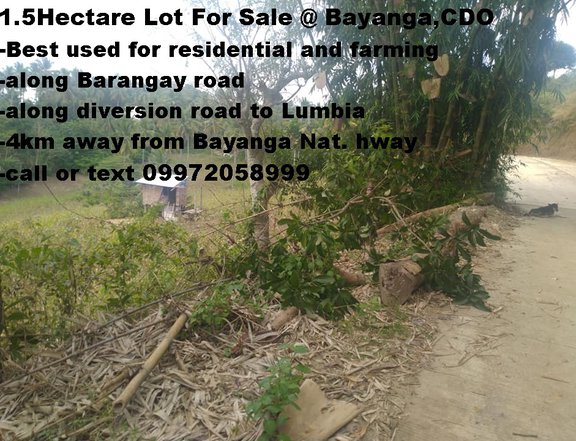 Affordable Lot For Sale at Bayanga, Cagayan de Oro City Along the Road