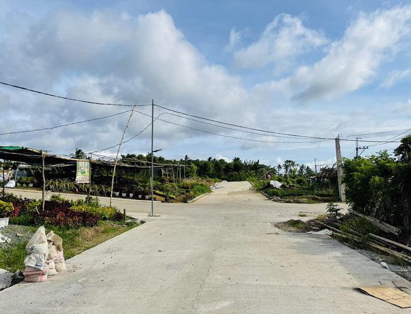 Lot for Sale in Silang Cavite near Flower Market Tagaytay