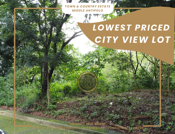 Lot with City View I Town & Country Estate Antipolo