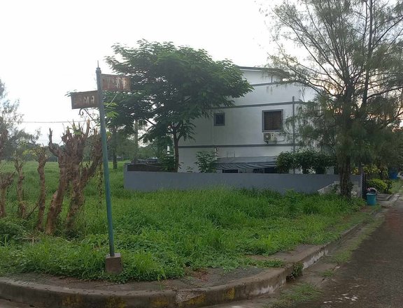 235sqm Residential lot for Sale in Southplains Exec Village Aguinaldo Highway Dasmarinas Cavite