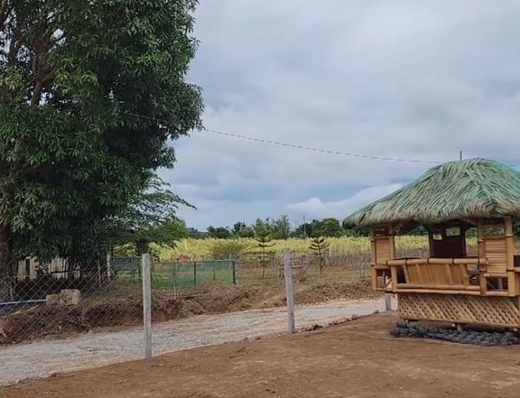 750 sqm Residential Farm For Sale in Nasugbu Batangas @ 2K/SQ.M.