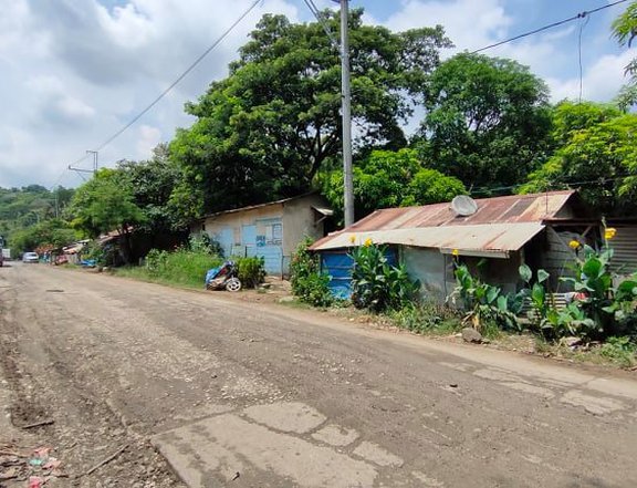 1.1 hectare Agricultural Lot for sale in Antipolo, Rizal
