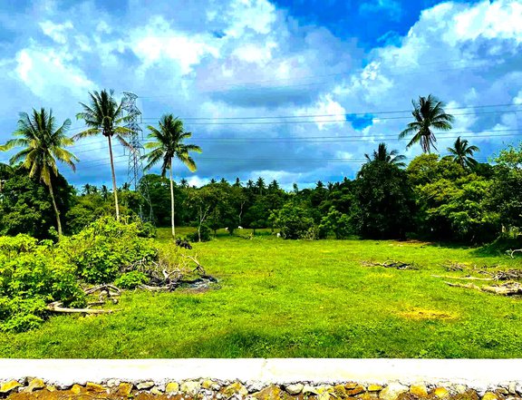 Farm lot located at Upli Alfonso near Royale Tagaytay