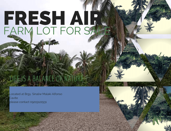 FARM LOT FOR SALE AT ALFONSO CAVITE